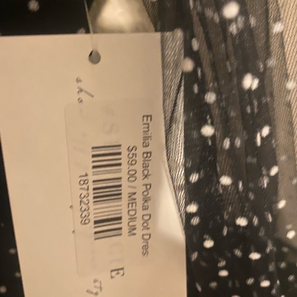 Ina Black Polka Dot Sheer Dress - Picture 3 of 3